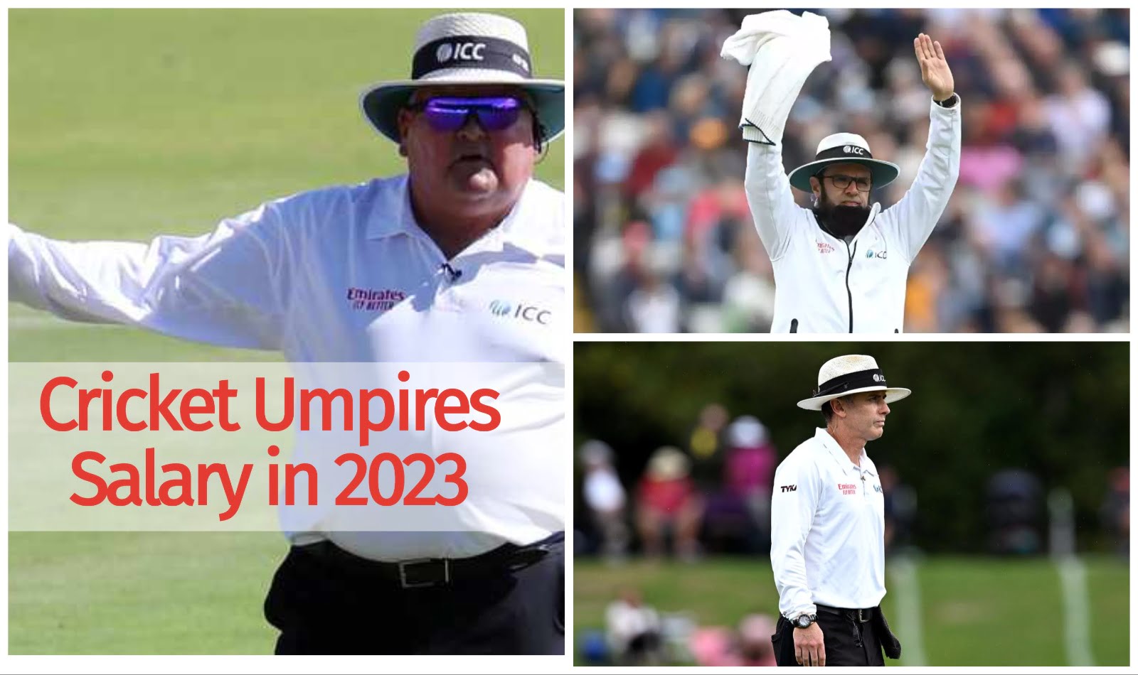 a detailed blog about the cricket umpire salary