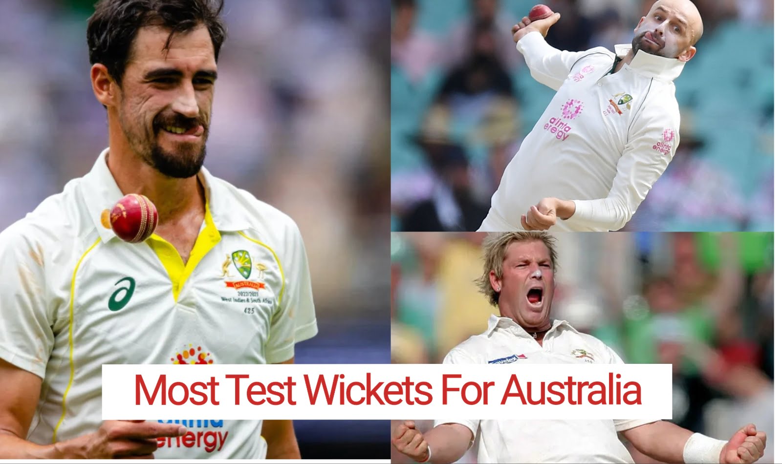 Detailed blog on who has taken the most test wickets for Australia in Cricket