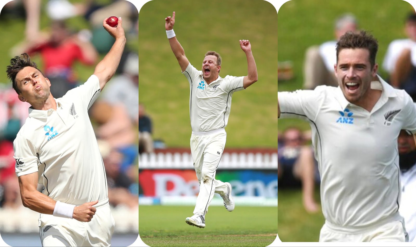 This blog is about players who has taken the most test wickets for new zealand